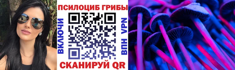 Псилоцибиновые грибы Psilocybe  Енисейск 